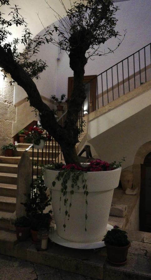 Il Nido Dei Falchi B&B Altamura Extérieur photo